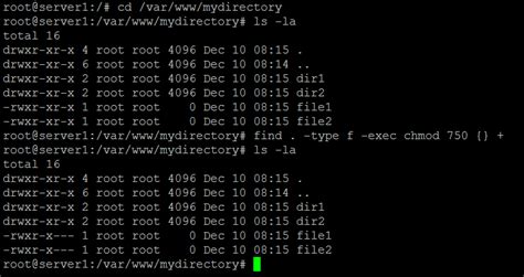 chmod directory recursive|chmod only files.